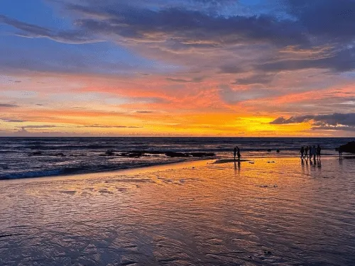 Canggu Beach